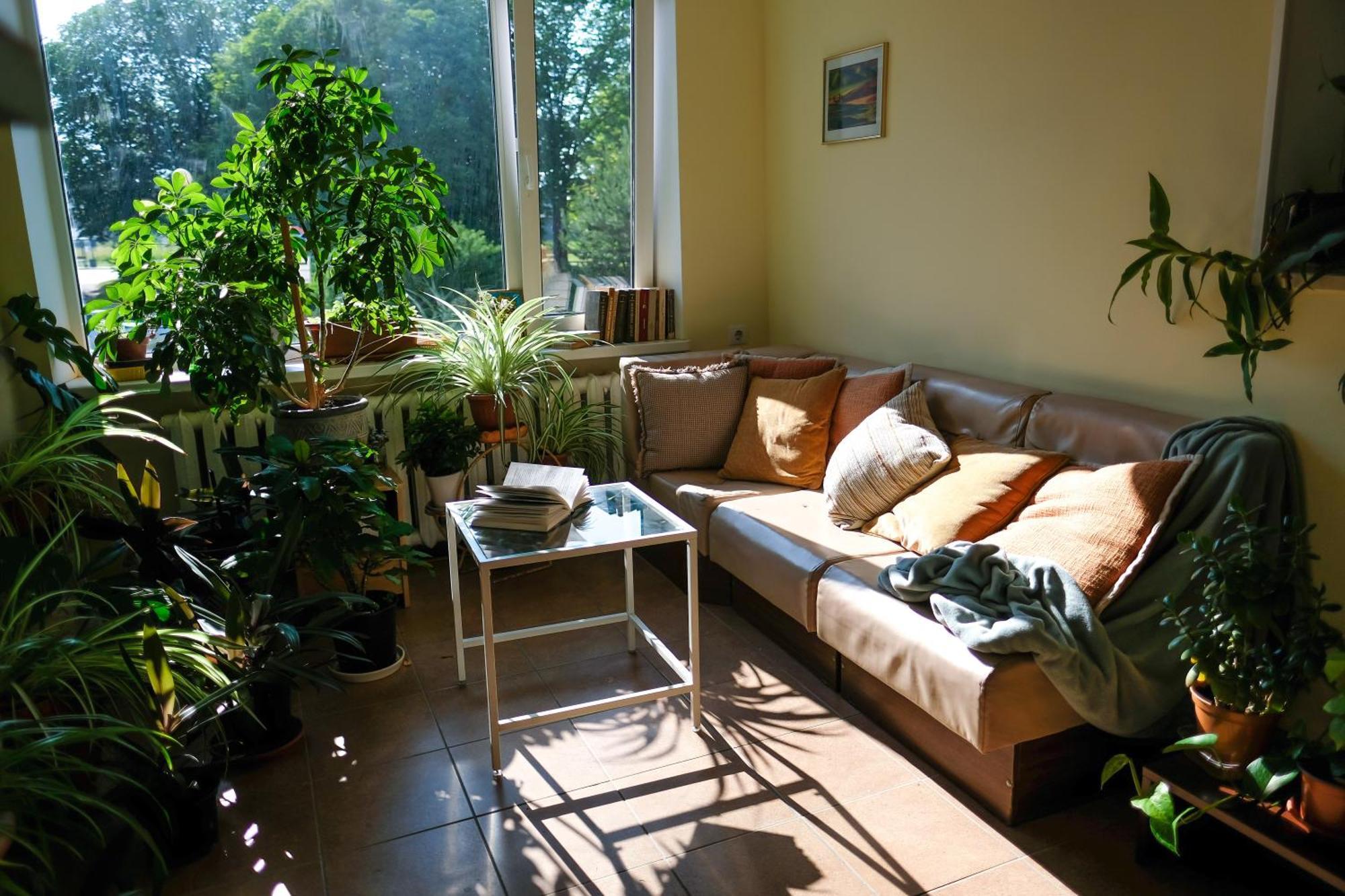 Hostel Nele โยห์ฟี ภายนอก รูปภาพ
